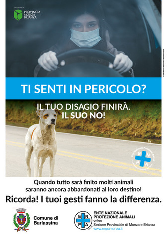 NON ABBANDONARE I TUOI ANIMALI!!!