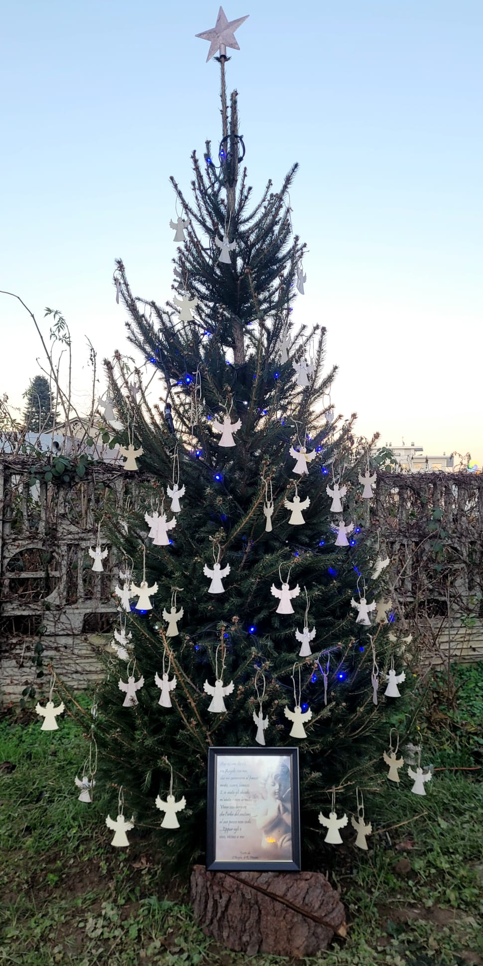 Piantare un albero è un atto semplice ed ecologico