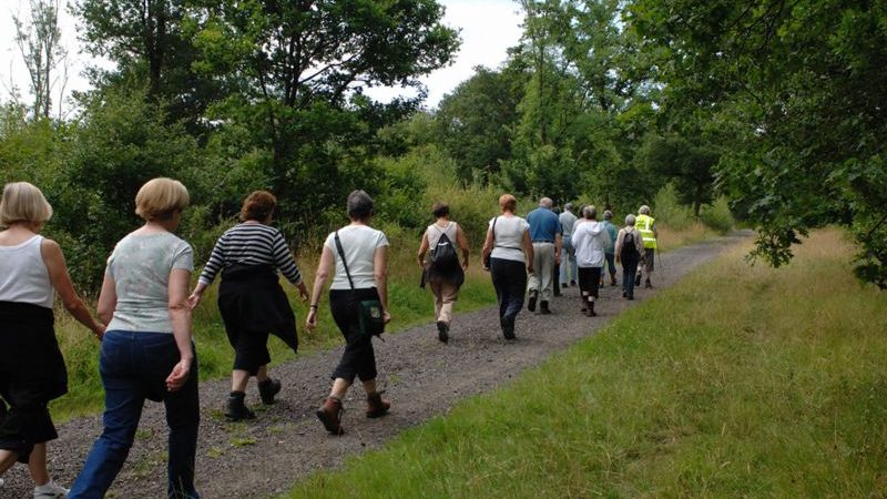 GRUPPI DI CAMMINO: si riparte venerdì 11 settembre 2020